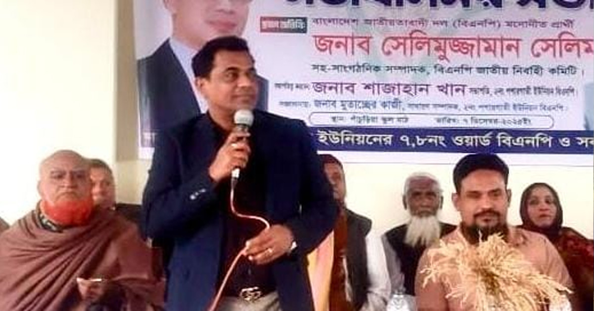 নিরপেক্ষ নির্বাচন হলে বিএনপি ক্ষমতায় আসবে-সেলিমুজ্জামানের দাবি