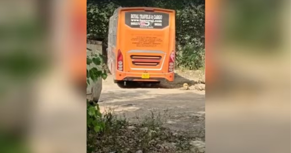 দিল্লিতে স্লিপার বাসে নারীর ওপর সংঘবদ্ধ ধর্ষণের অভিযোগ, চালক-সহকারী গ্রেপ্তার