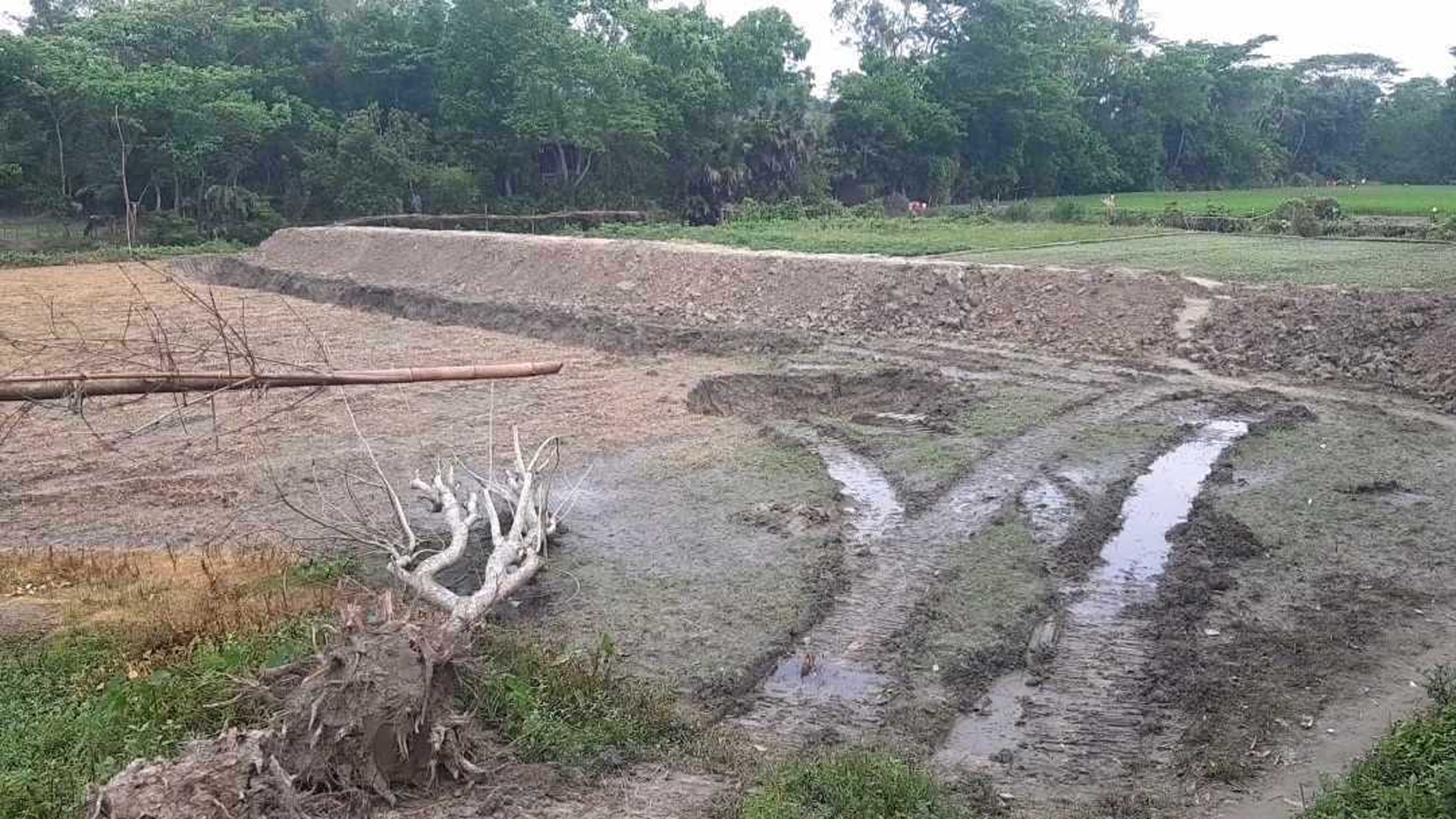 চাঁদপুরে গভীর রাতে ‘জিনের তৈরি গায়েবি রাস্তা’