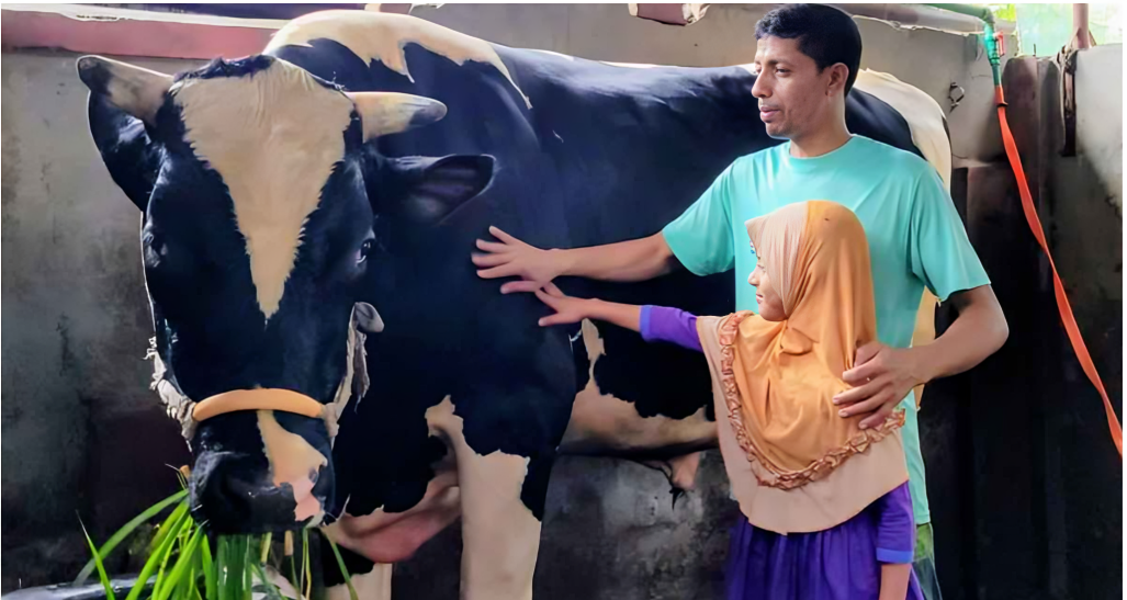 দরজা ভেঙে বের করতে হবে ৩০ মণের বুলেট, কোরবানির হাটে তোলপাড়!