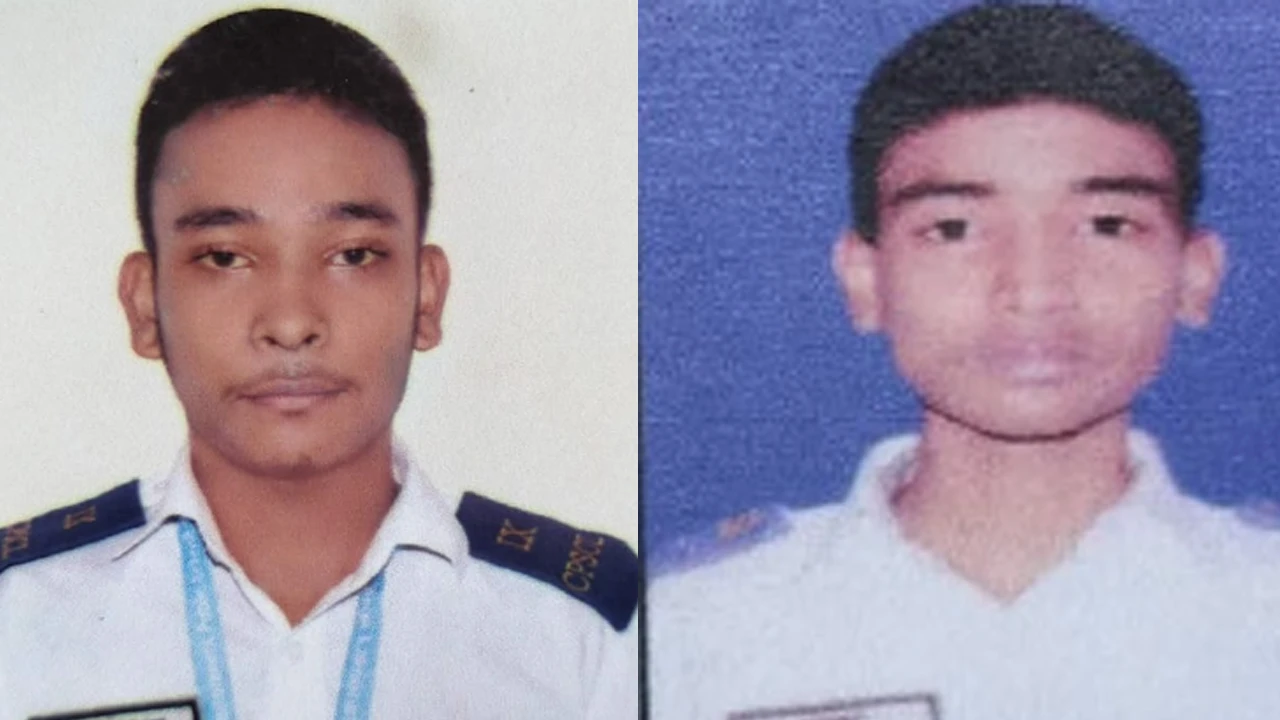 ছোট ভাইকে বাঁচাতে গিয়ে প্রাণ গেল বড় ভাইয়ের!