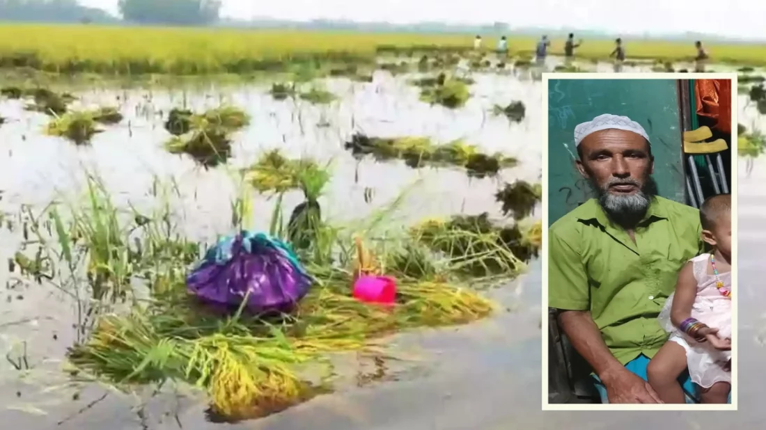 হাওড়ে ধান তলিয়ে যাওয়ার শোক সইতে না পেরে কৃষকের মৃত্যু!