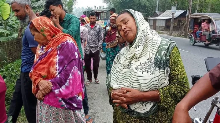 নীলফামারীতে ট্রাকচাপায় দুই ভাইয়ের মৃত্যু, আহত শিশু হাসপাতালে