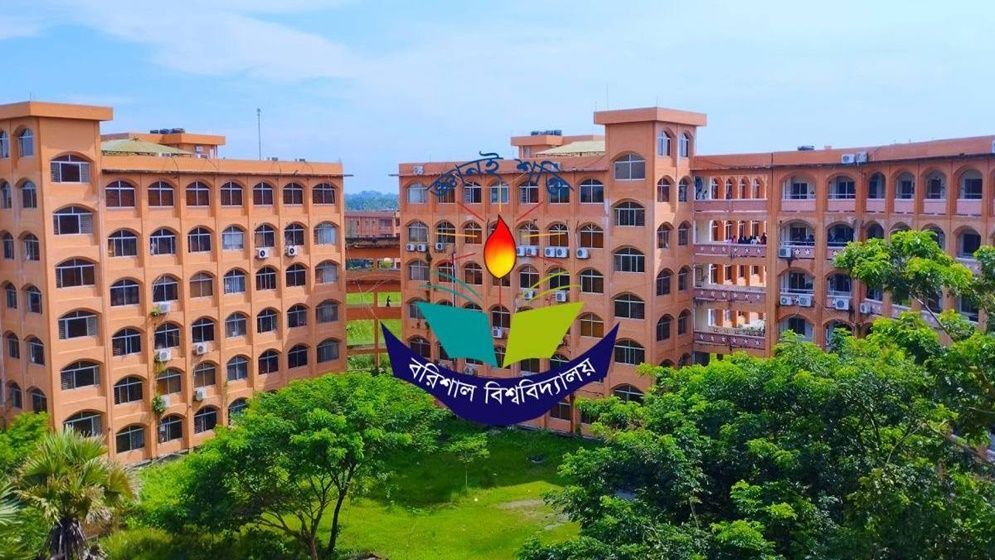 ববি উপাচার্যের দপ্তরে শিক্ষার্থীদের ব্যতিক্রমী মূলা উপহার