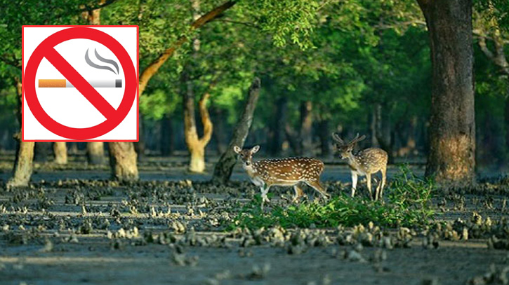 বিড়ি ও সিগারেটসহ সুন্দরবনে প্রবেশ নিষিদ্ধ