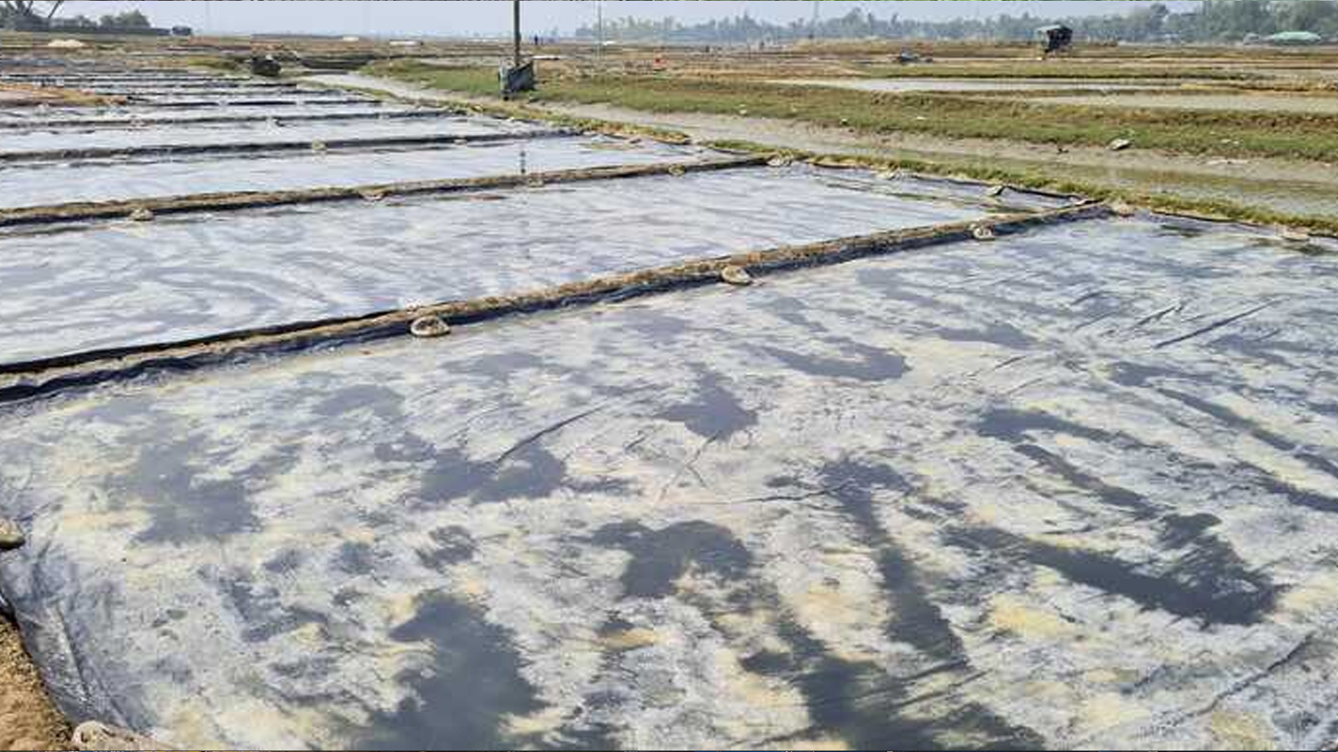 কক্সবাজারে বজ্রপাতে লবণ চাষির মৃত্যু, উপকূলে সতর্কতা