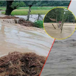 প্লাবিত ২০ গ্রাম, পানির নিচে বোরো ক্ষেত - দুশ্চিন্তায় হাজারো কৃষক