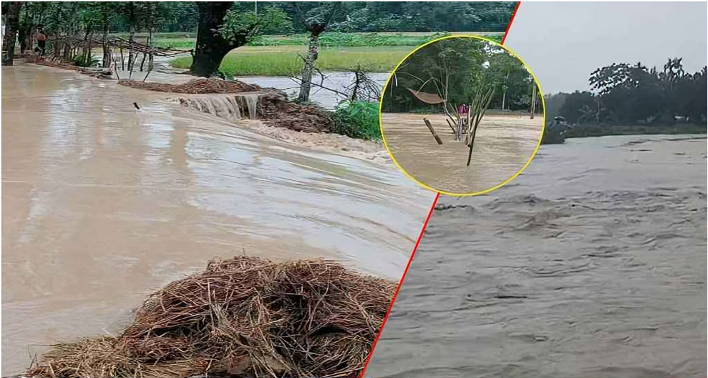 প্লাবিত ২০ গ্রাম, পানির নিচে বোরো ক্ষেত - দুশ্চিন্তায় হাজারো কৃষক