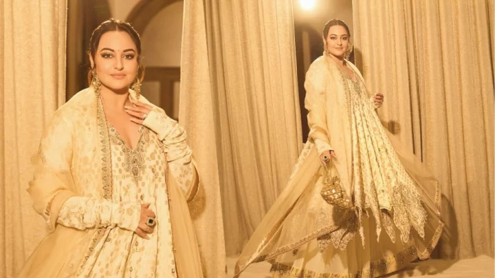 ১৬ মাসের গর্ভাবস্থায় বিশ্বরেকর্ড গড়েছি: সোনাক্ষী সিনহা