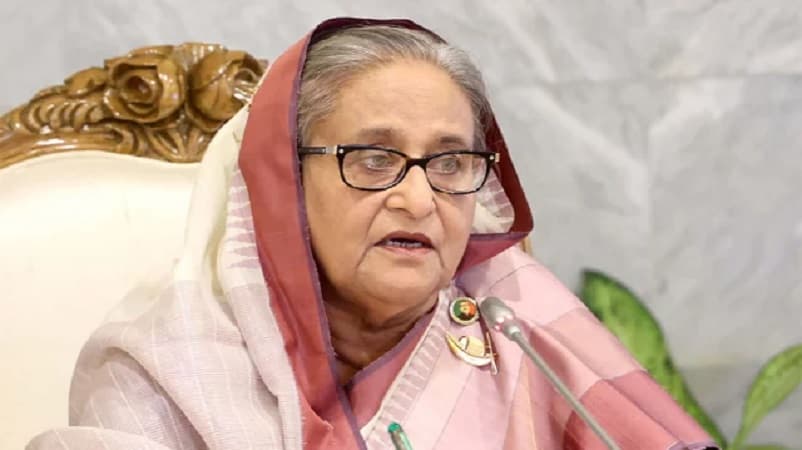 হাসিনার বিরুদ্ধে ইন্টারপোলের রেড নোটিশের বিষয়ে যা জানা গেল