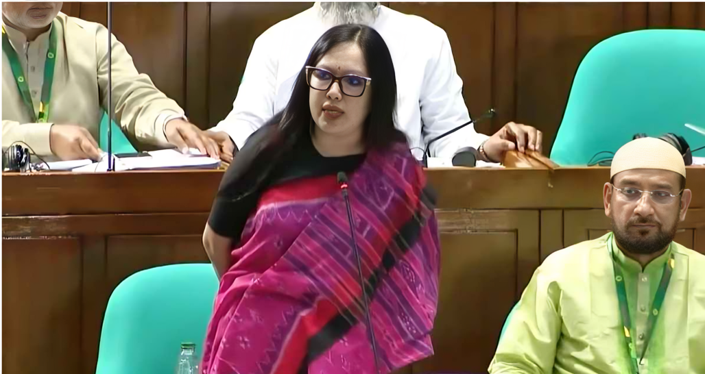 এমপিদের সামনে বলছি, ৩০০ হামের রোগীর সামনে নয়: রুমিন ফারহানা