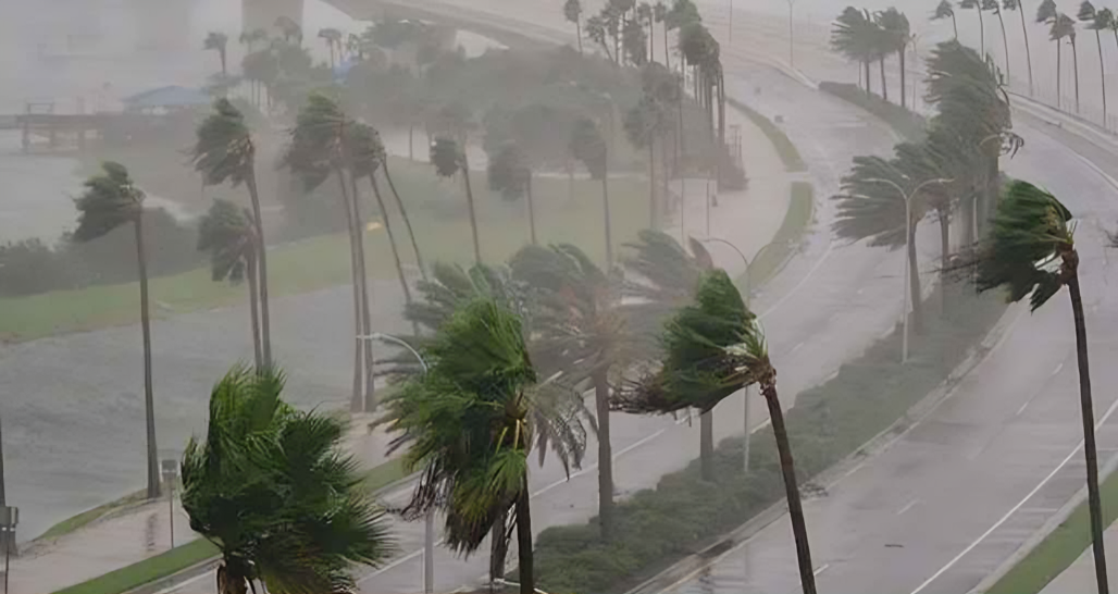 সন্ধ্যার মধ্যে ৪ জেলায় ঝড়-বৃষ্টির শঙ্কা, নদীবন্দরে ১ নম্বর সতর্কসংকেত