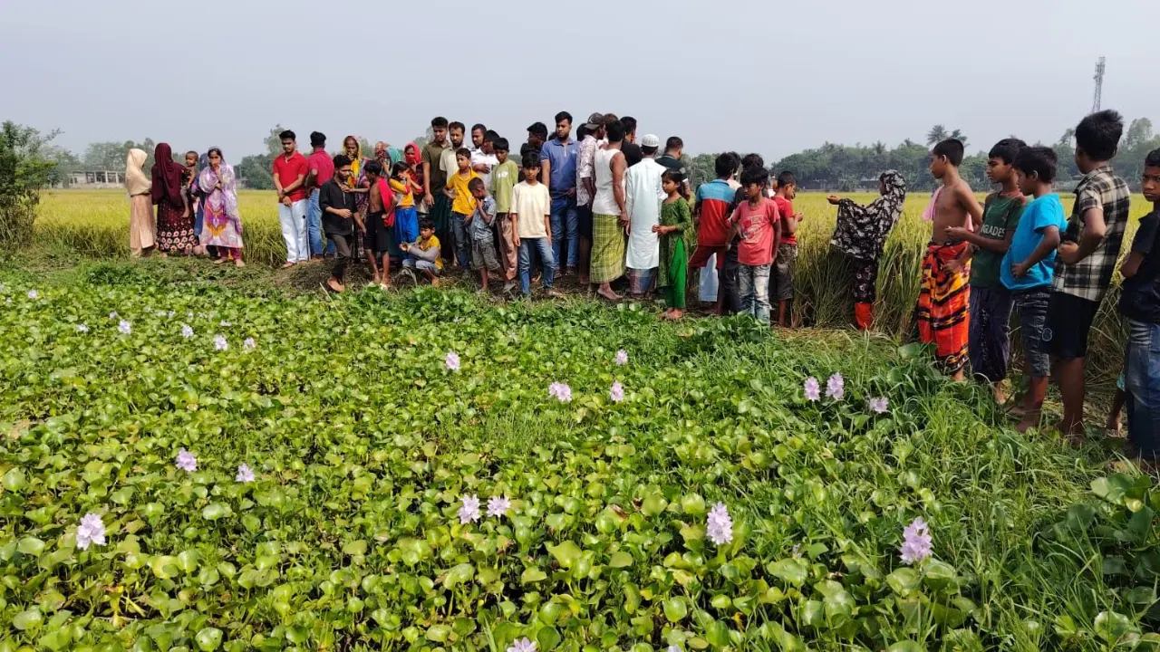 ৭ মাসের সন্তানকে হত্যা করে ডোবায় ফেলে রাখে বাবা!