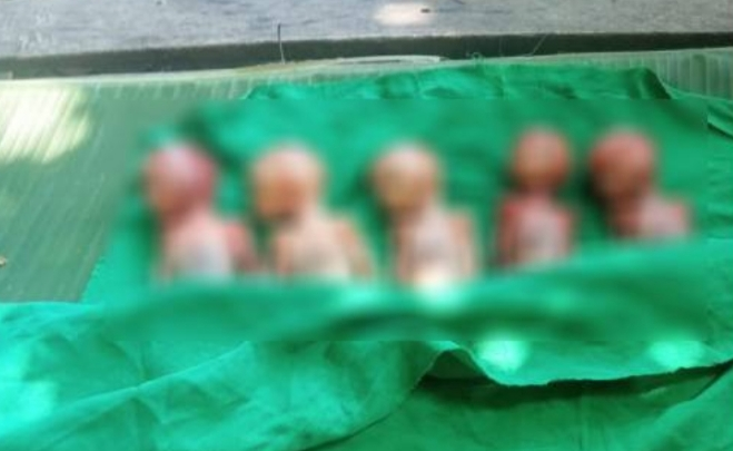 এক সঙ্গে সাত সন্তানের জন্ম, বাঁচলো না কেউ!