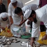 ১৫০ কেজি ইলিশ জব্দ, প্রশাসন মাদরাসা ও এতিমখানায় বিতরণ করেছে