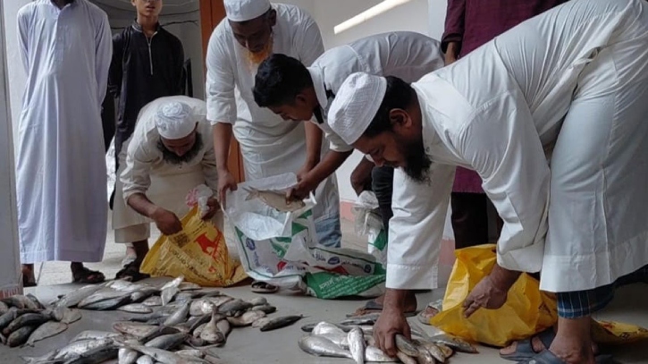 ১৫০ কেজি ইলিশ জব্দ, প্রশাসন মাদরাসা ও এতিমখানায় বিতরণ করেছে