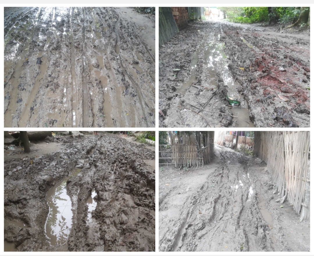সালথায় রাস্তার বেহাল দশায় চরম ভোগা‌ন্তি‌তে হাজারও মানুষ