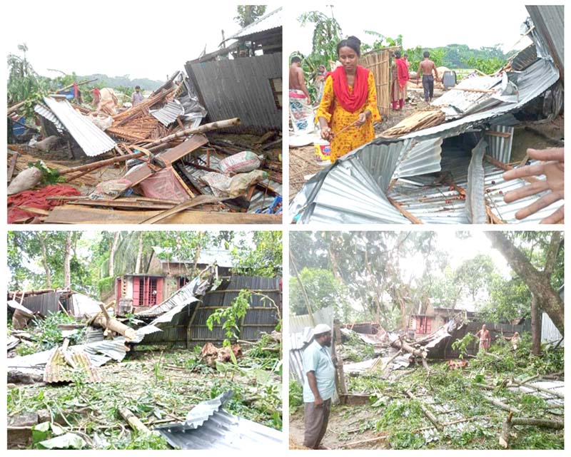 সালথায় ঘূর্ণিঝড়ে ৩০ বসতঘর লন্ডভন্ড ও প্রবল বর্ষণে ফসলের ব্যাপক ক্ষতি
