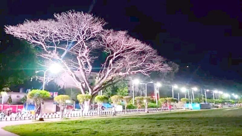 বরিশাল বঙ্গবন্ধু উদ্যান মাঠে তিন কিশোরকে এলোপাতাড়ি কোপালো সন্ত্রাসীরা
