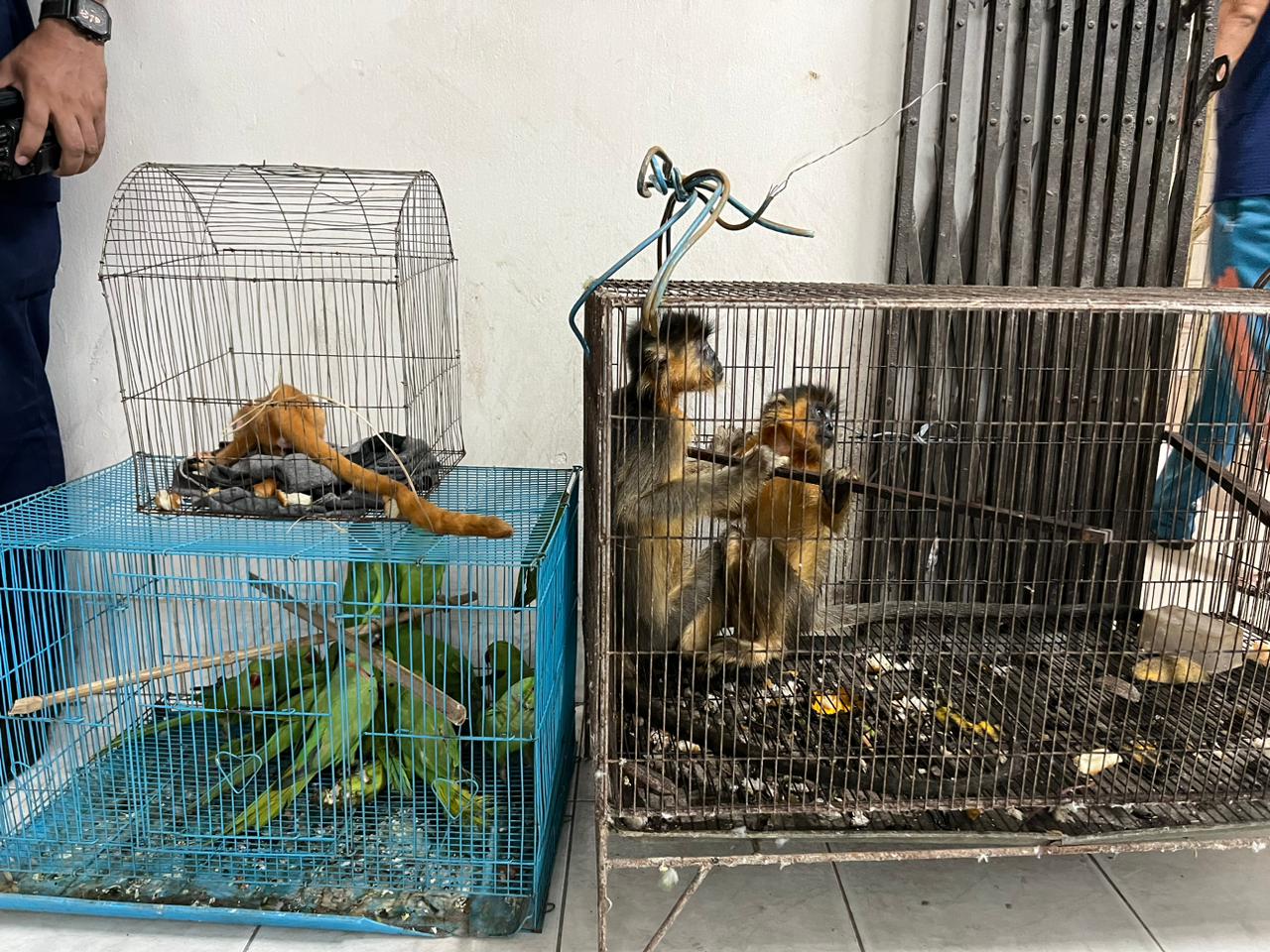 বাসন থেকে হনুমান উদ্ধার, গ্রেফতার ৫