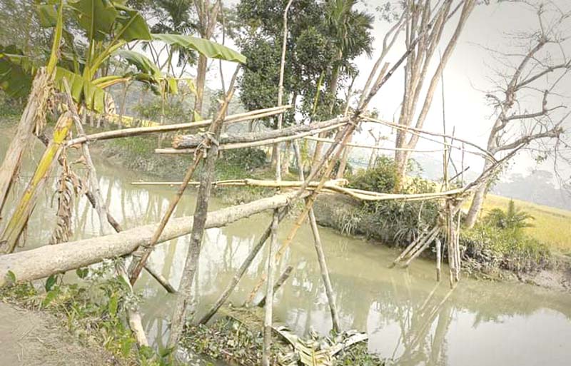 বাউফলে বাঁশের সাঁকো পাড়াপাড়ে সীমাহীন ভোগান্তি, ৬০ বছরেও হয়নি সেতু