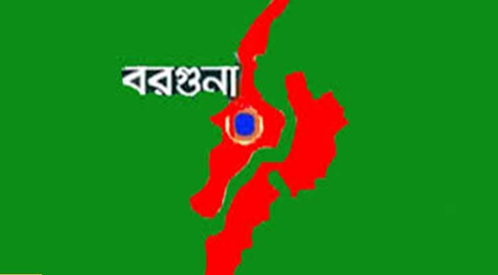 আমতলীতে ‘মিথ্যা মামলা’ প্রত্যাহারের দাবিতে শিক্ষকদের মানববন্ধন