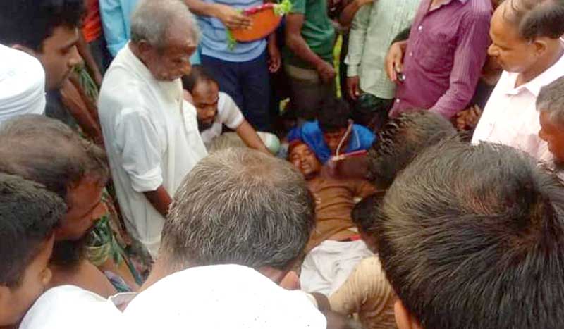 চিলাহাটিতে বিষাক্ত সাপের কামড়ে আহত ইউপি সদস্য