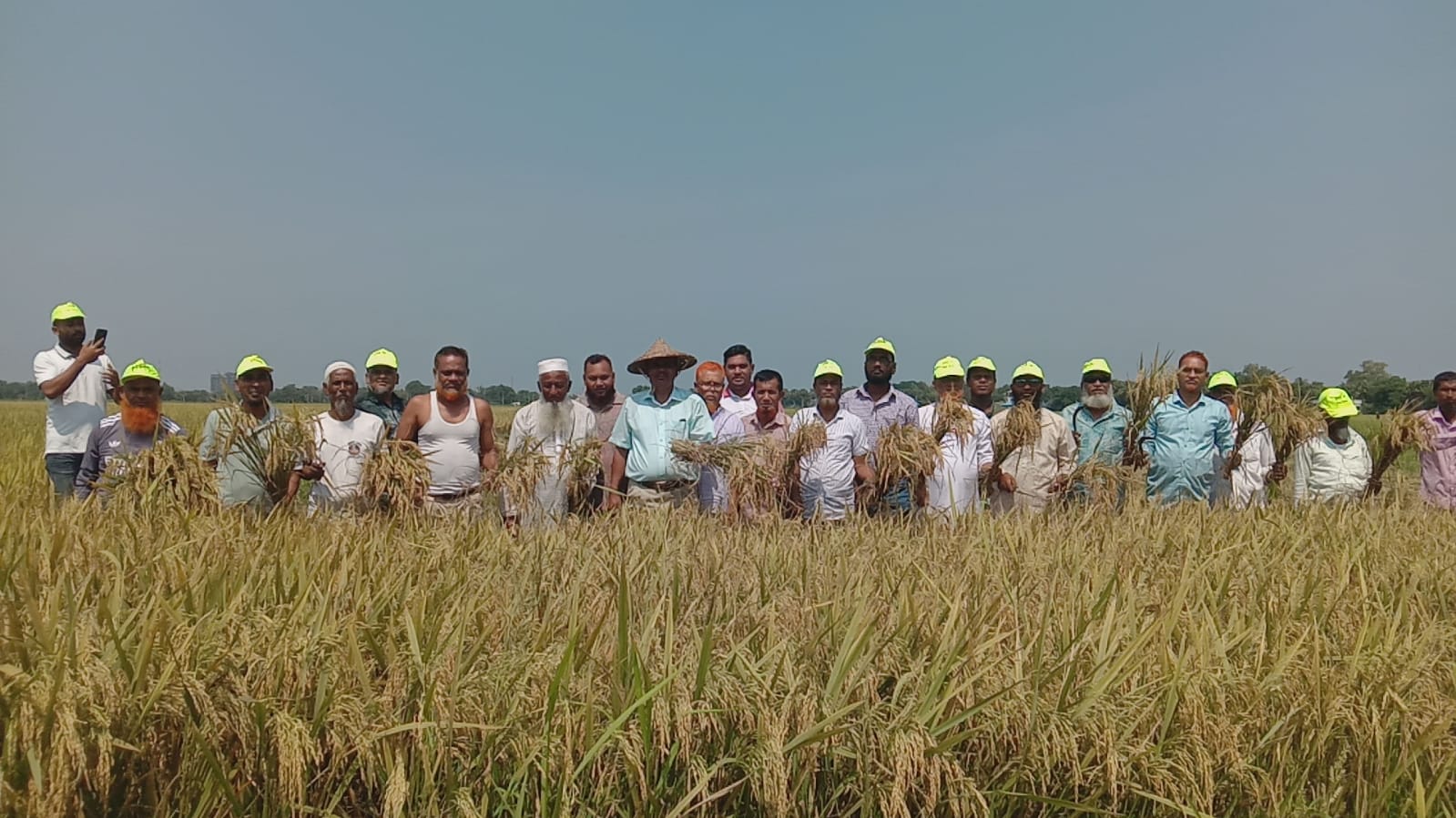 কৃষকের ধান কেটে দিল কুমিল্লা মহানগর কৃষকদল