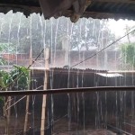 দিনাজপুরে ৫২ মিলিমিটার বৃষ্টি: তীব্র গরমের পর জনজীবনে স্বস্তি