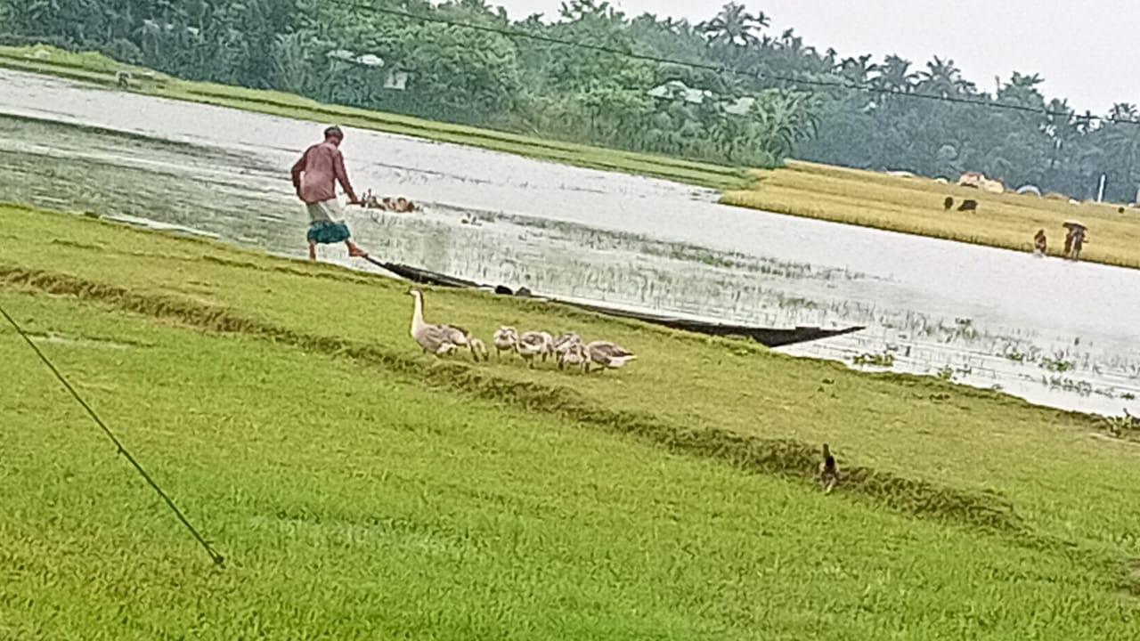 সুনামগঞ্জে আবারও ভারী বৃষ্টি, সুরমা নদীতে পানি বাড়ছে