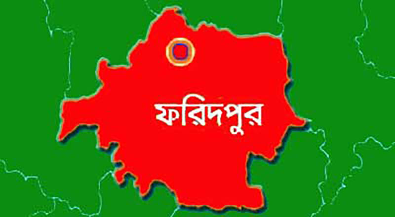 পরকীয়ায় বাধা দেওয়ায় সালথায় অন্তঃসত্ত্বা গৃহবধূকে মারধরের অভিযোগ