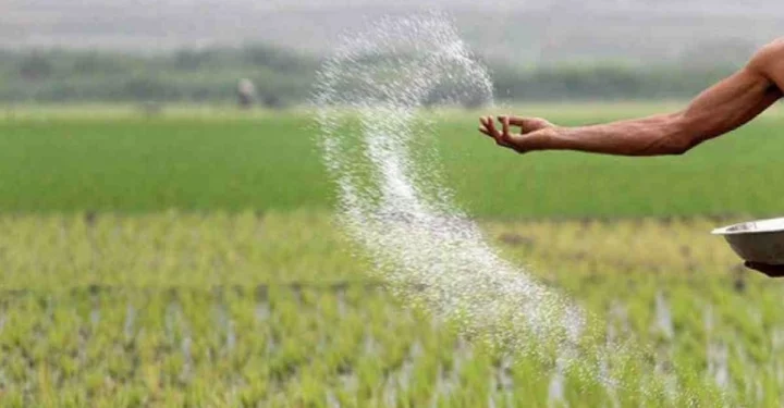 ২৭ লাখ কৃষক পাবে বিনামূল্যে সার-বীজ