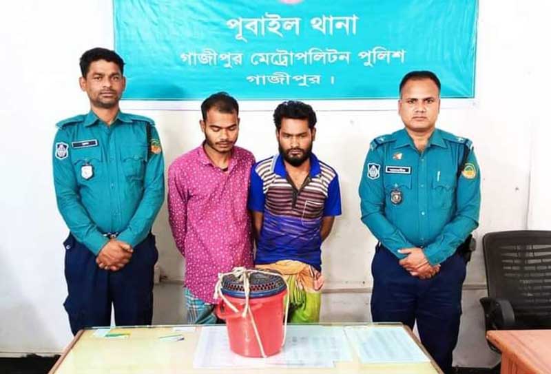 গাজীপুরে বিলুপ্তপ্রায় বন্যপ্রাণী তক্ষক উদ্ধার, গ্রেফতার ২
