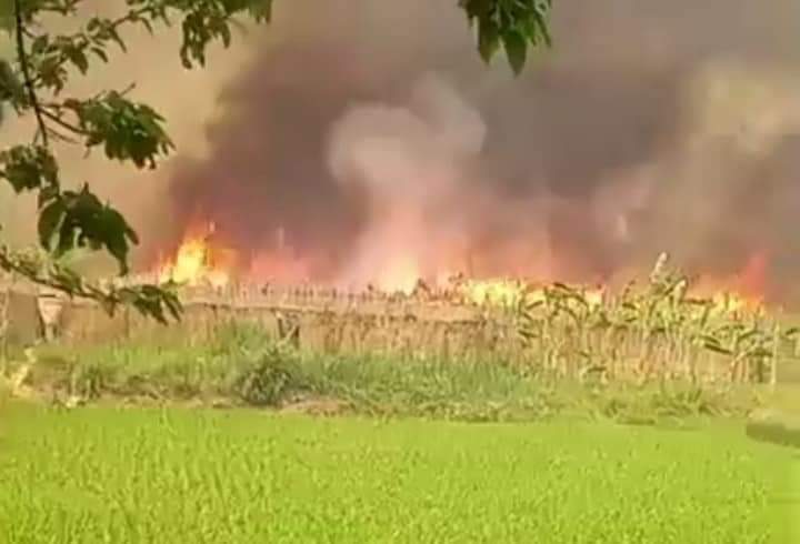 ভেড়ামারায় পানের বরজ ও ফসলী জমিতে আগুন, দুই হাজার পান চাষি ক্ষতিগ্রস্ত