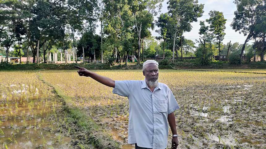 শ্রীপুরে শিক্ষক পরিরারের জমি দখলের চেষ্টা, থানায় অভিযোগ