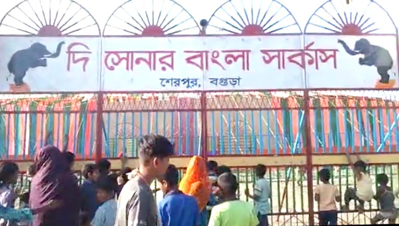 কাউনিয়ায় সার্কাসে নাচগান, কোমলমতী শিশু-কিশোরদের ভীড়