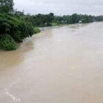 কমলগঞ্জে উজানের ঢলে হু হু করে বাড়ছে ধলাই নদীর পানি