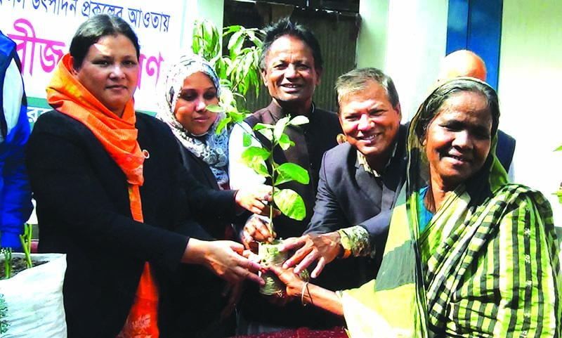কুড়িগ্রামে আশ্রয়ণ প্রকল্পে ঘর পাওয়া পরিবারদের বস্তায় ফসল উৎপাদনের উদ্যোগ