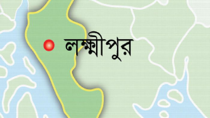 লক্ষ্মীপুরে ইটবাহী পিকআপ খাদে পড়ে চালকসহ নিহত ২