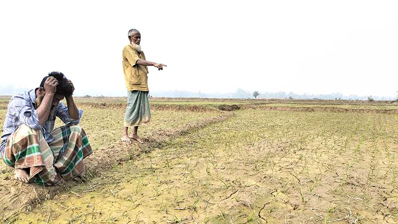 নালিতাবাড়িতে সেচ সংকটে চাষাবাদ অনিশ্চিত প্রায় ৩০০ একর জমির