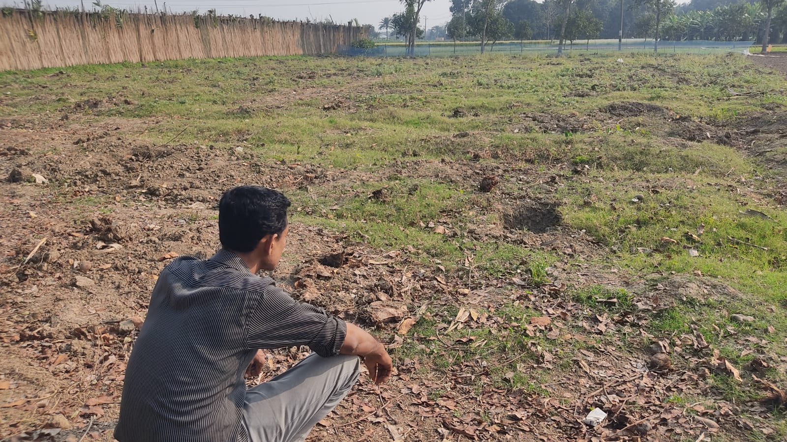 বড়াইগ্রামে বিভিন্ন জাতের আঠারো শ’ গাছ কেটে ফেলার অভিযোগ