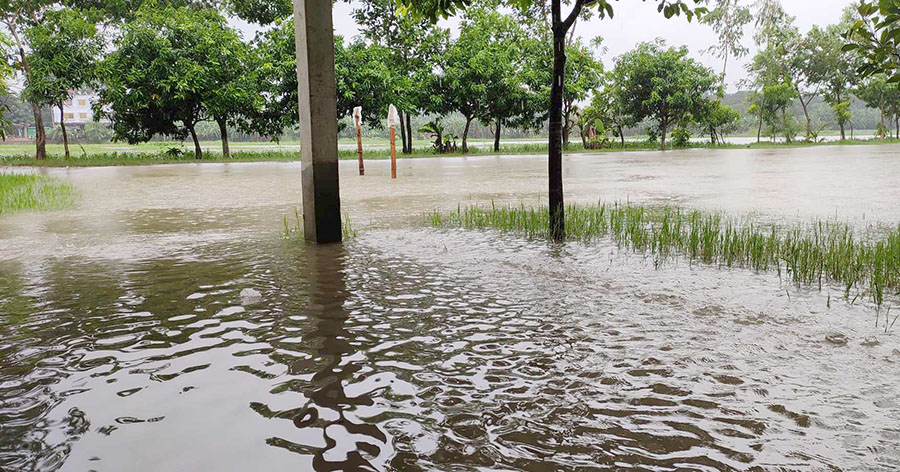 টানা বর্ষণে পানির নিচে নোয়াখালী, দুর্ভোগে লক্ষাধিক মানুষ