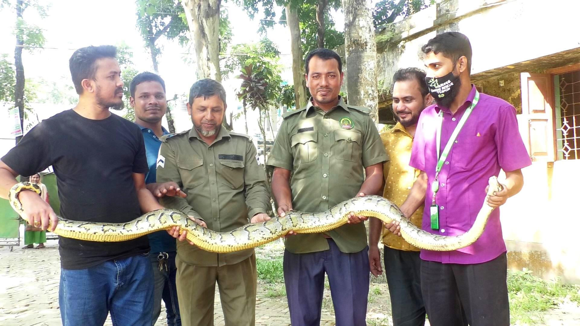 পঞ্চগড়ে ধানক্ষেত থেকে অজগর উদ্ধার