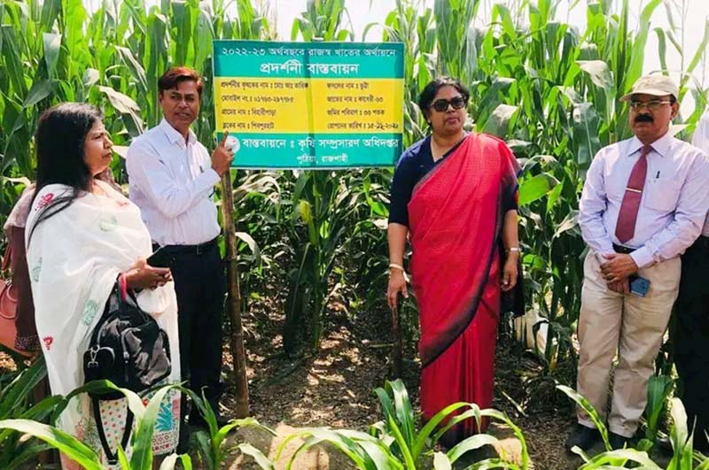 পুঠিয়ায় প্রদর্শনী ভুট্টা ক্ষেত পরিদর্শনে কৃষি সচিব