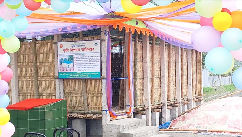 অহিমায়িত মডেল ঘরে আশার আলো দেখছেন আলু চাষিরা