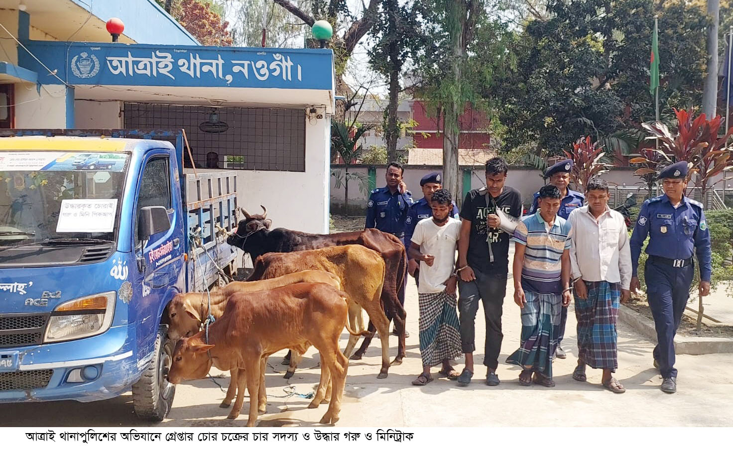 আত্রাইয়ে আন্তঃজেলা গরু চোর চক্রের ৪ সদস্য গ্রেপ্তার, গরু ও ট্রাক উদ্ধার