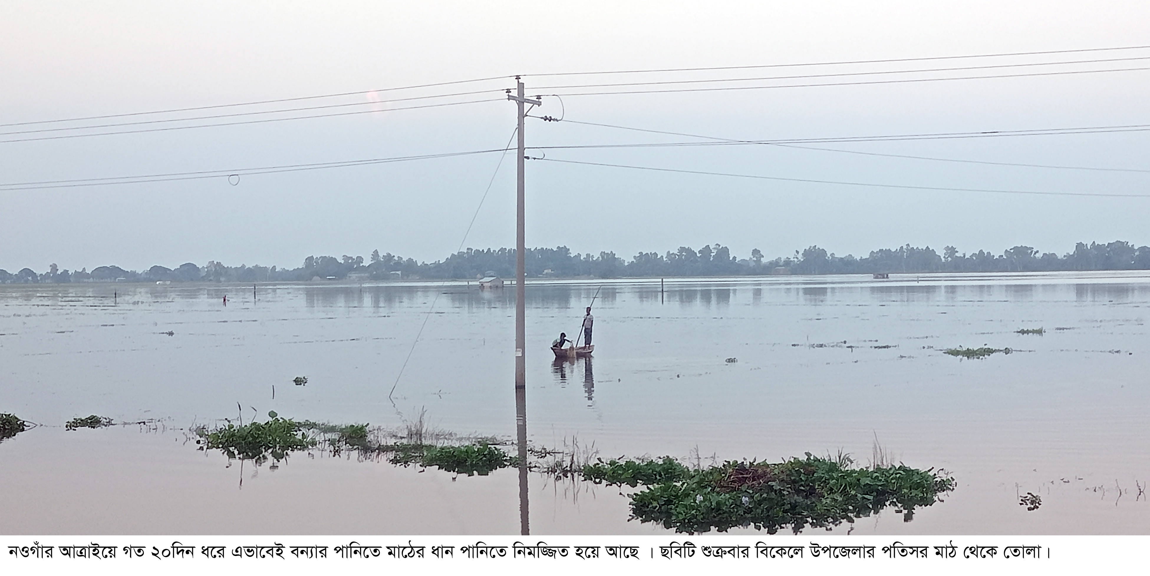 ক্ষতি কাটিয়ে উঠতে সরকারী প্রণোদনার আওতায় সহায়তা কামনা কৃষকদের