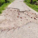 আট শিক্ষা প্রতিষ্ঠানে যাতায়াতের একমাত্র রাস্তার বেহাল দশা, সংস্কারের দাবি এলাকাবাসীর
