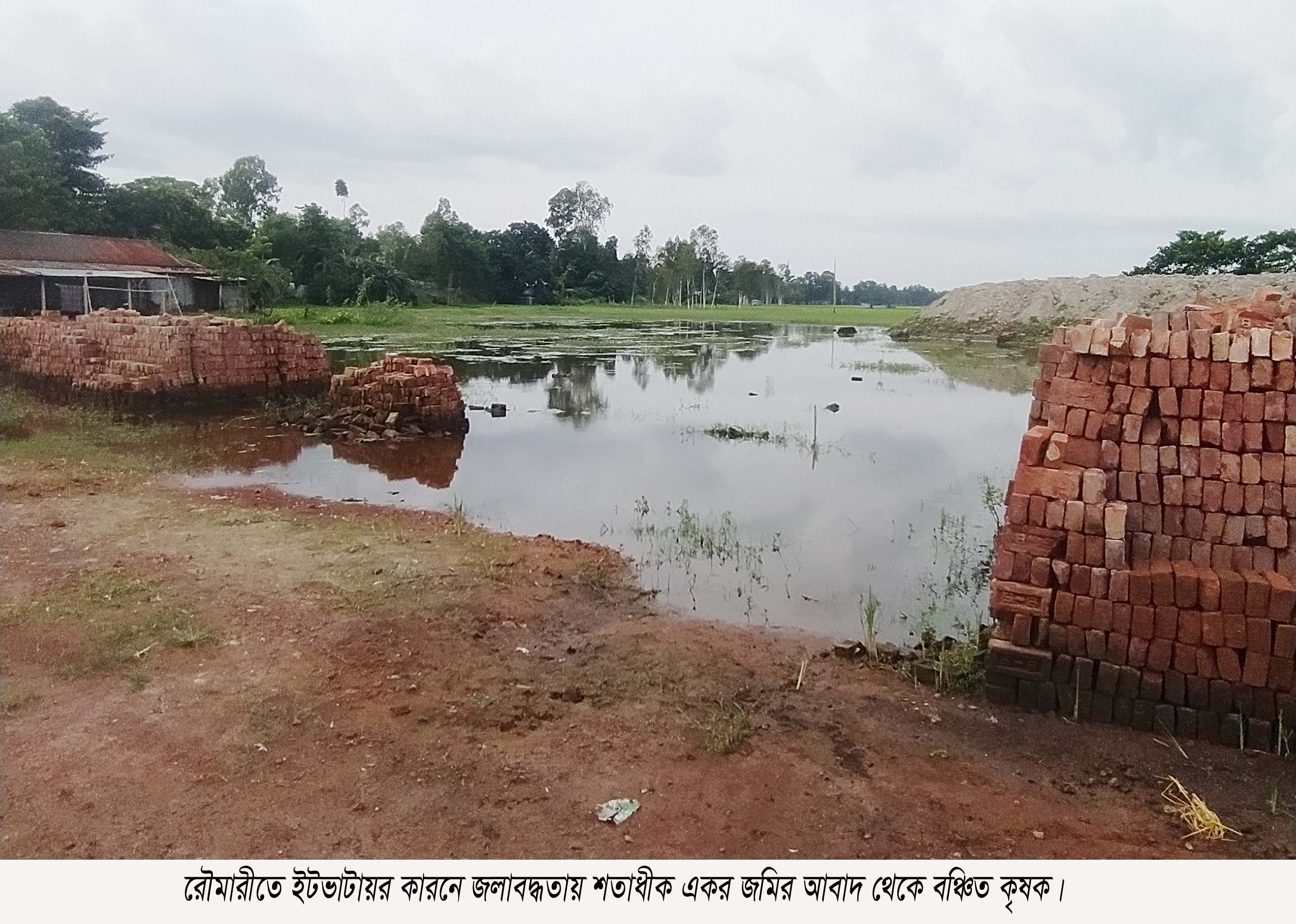 শতাধীক একর জমির আবাদ থেকে বঞ্চিত কৃষক: রৌমারীতে ইটভাটা স্থাপনে জলাবদ্ধতার সৃষ্টি