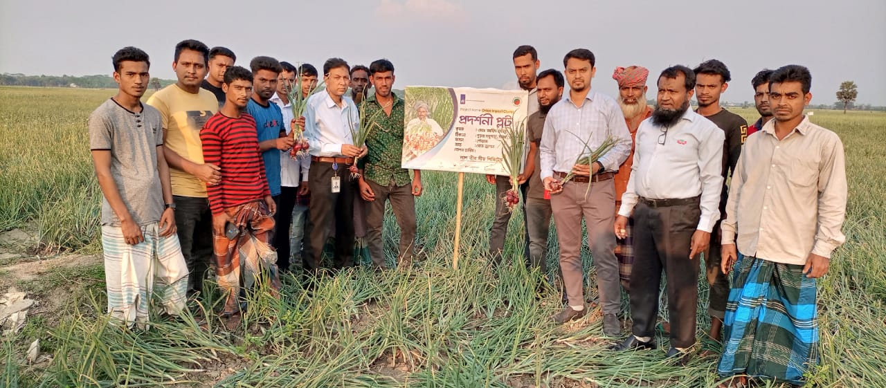 সালথায় পেঁয়াজ চা‌ষি‌দের নি‌য়ে লাল‌ তীরের মাঠ দিবস